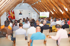 plan-estrategico-campo-de-valladolid-2024-20