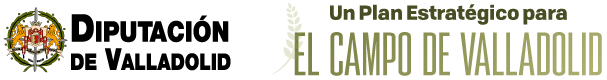 logo-plan-estrategico-2024-2