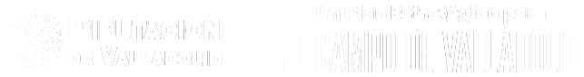 logo-plan-estrategico-2024-blanco